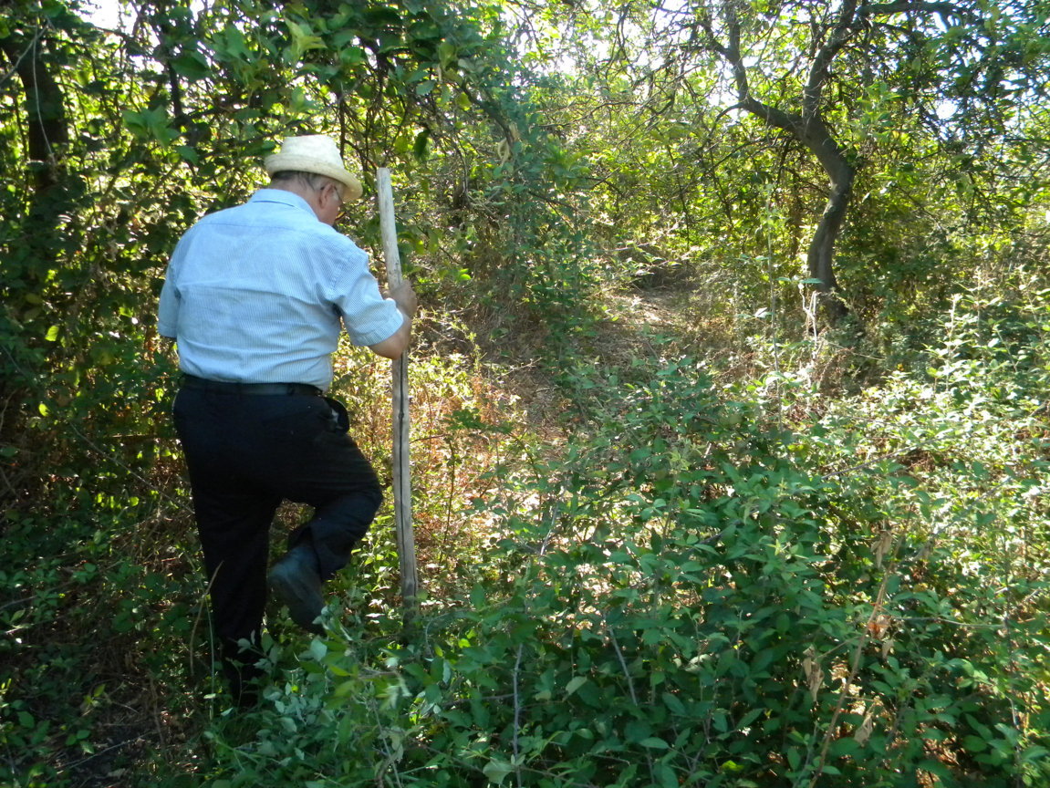 DSCN8107 .JPG